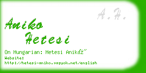 aniko hetesi business card